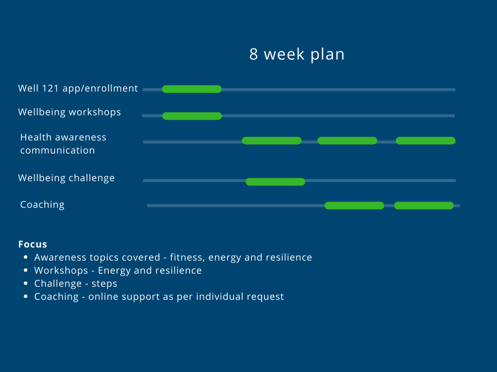 Annual plan (4)